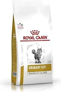 Pienso Royal Canin Urinary S/O para gatos — Problemas Urinarios
